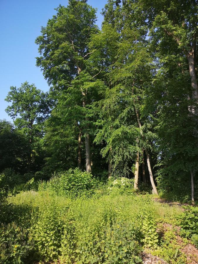 Gaestehaus Maria Rast Suderburg 외부 사진
